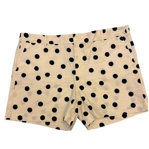 Ann Taylor Polka Dot Shorts – Women's Size 16 – NWT